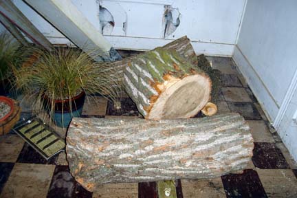 cottonwood logs